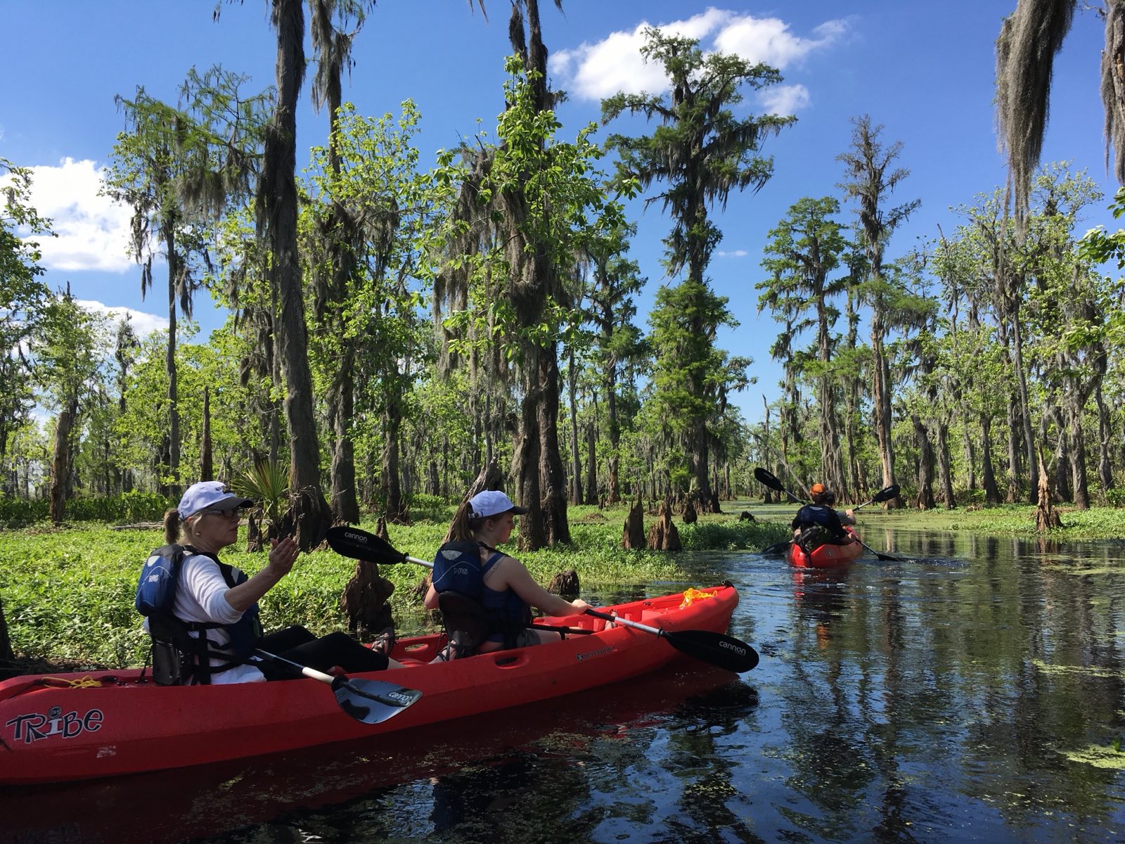 Airboat vs Kayak Swamp Tour: Which One Is Actually Worth It?