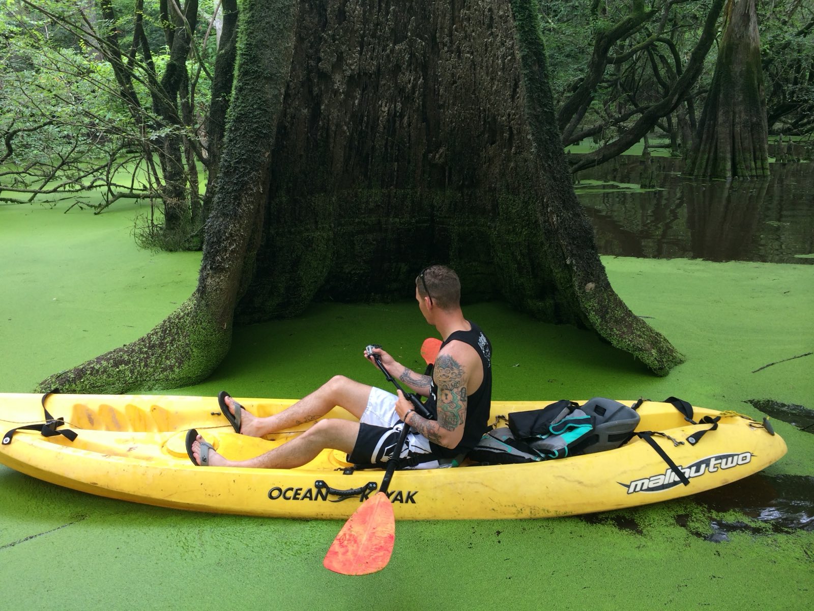 The Honey Island Swamp Monster: Louisiana’s Bigfoot, Explained