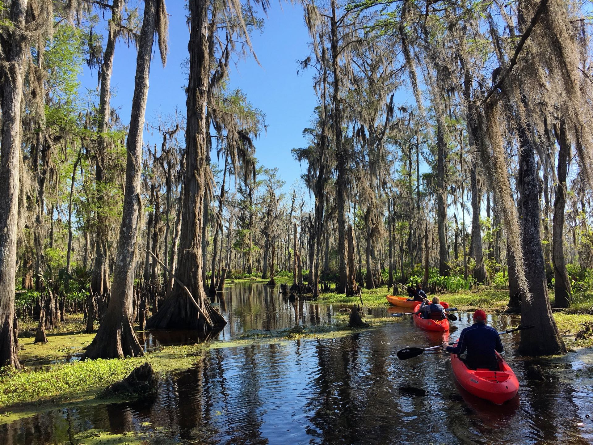 Jean Lafitte’s Swamps: Pirates, Bayous, and Buried Treasure