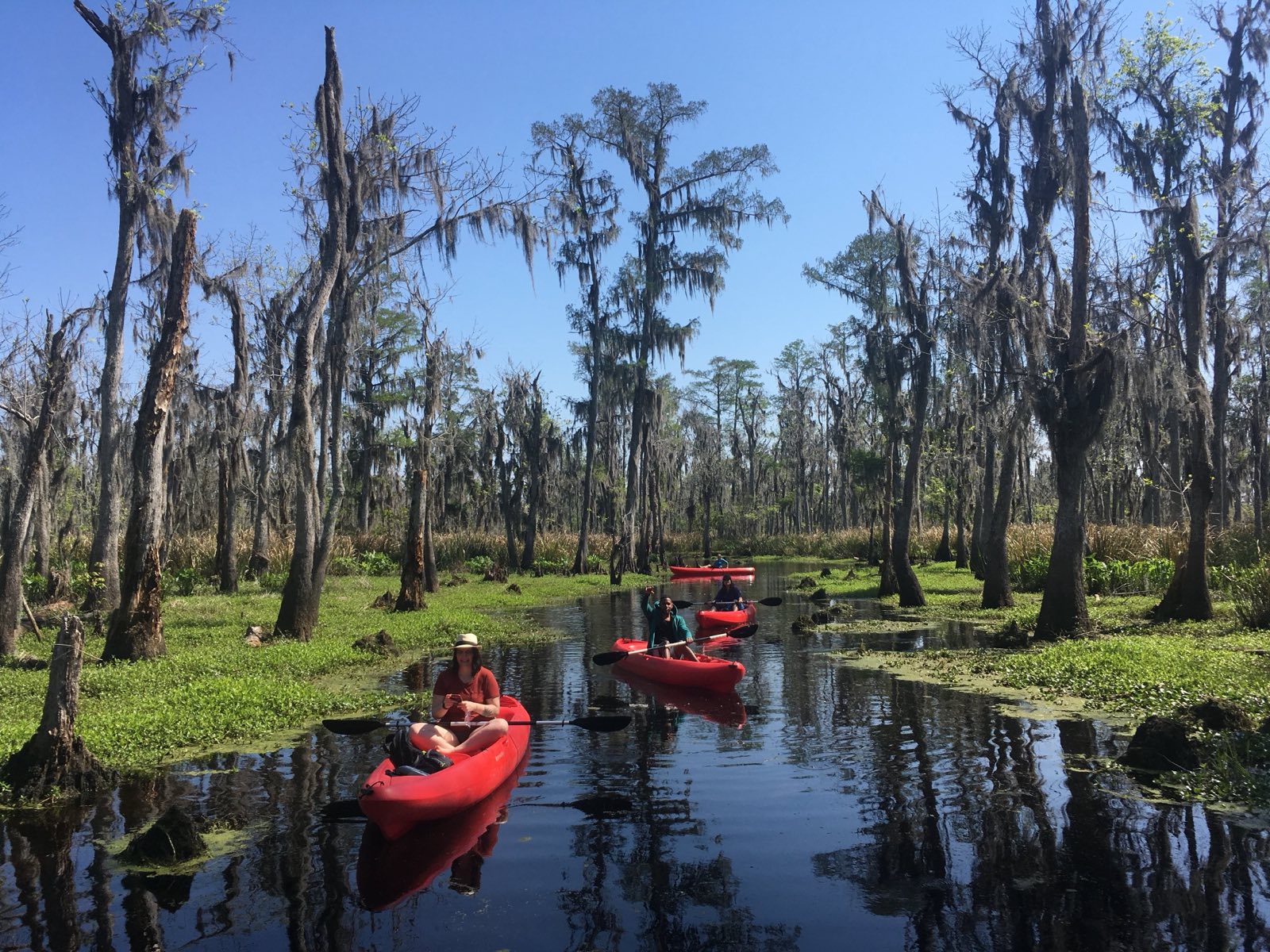 The Ghost Towns You Can Still Paddle To in the Manchac Swamp
